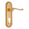 "Mahalalel" Brass Door Handle with Plate 